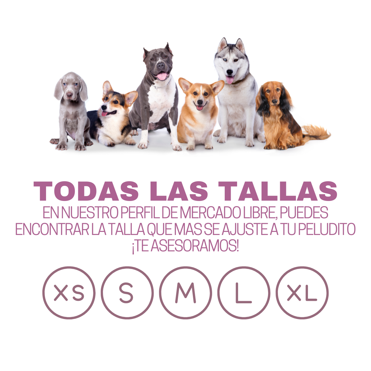 Cama Anti-Estrés Para Perros y Gatos